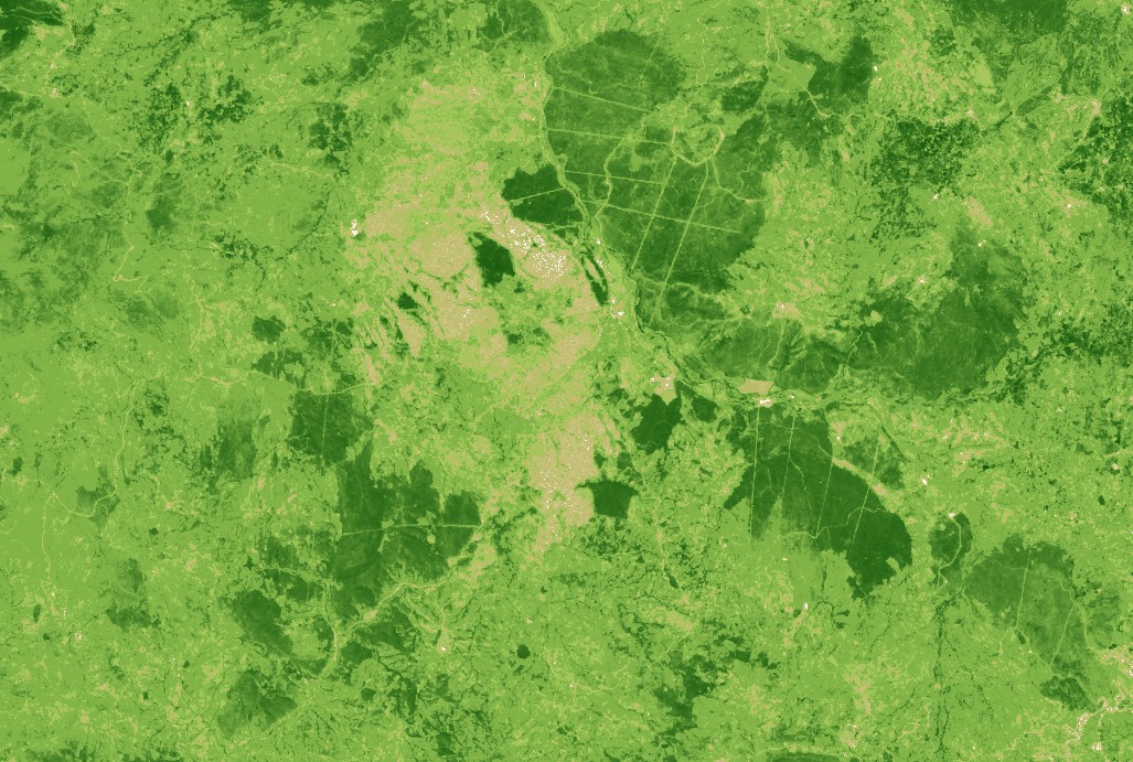 NDVI